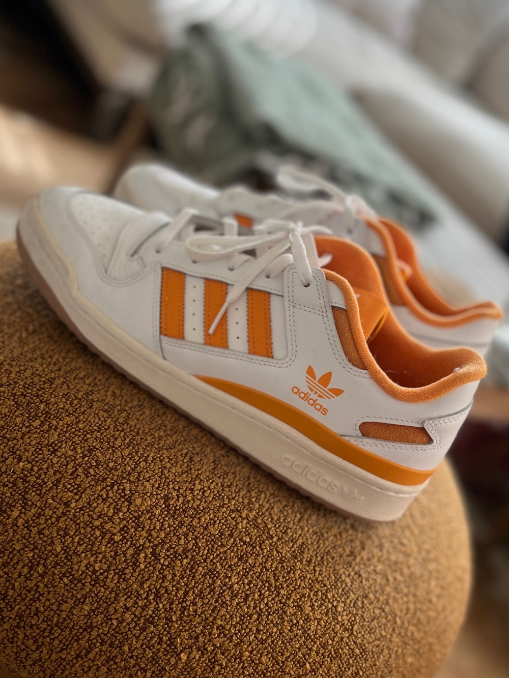 ADIDAS | forum low cl shoes